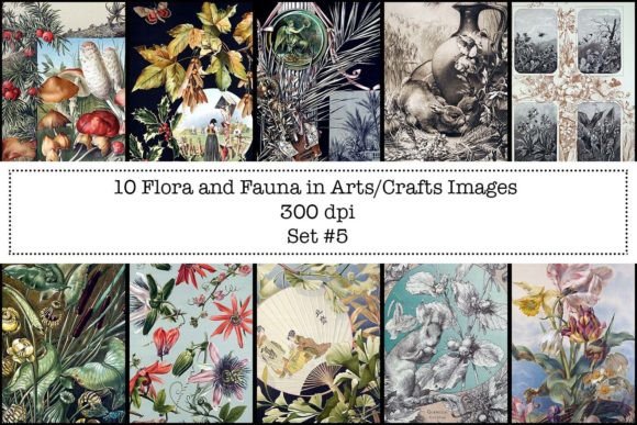 Flora Fauna in Art Craft - Set 5: Vintage Botanical Patterns for Real Creative Workflows